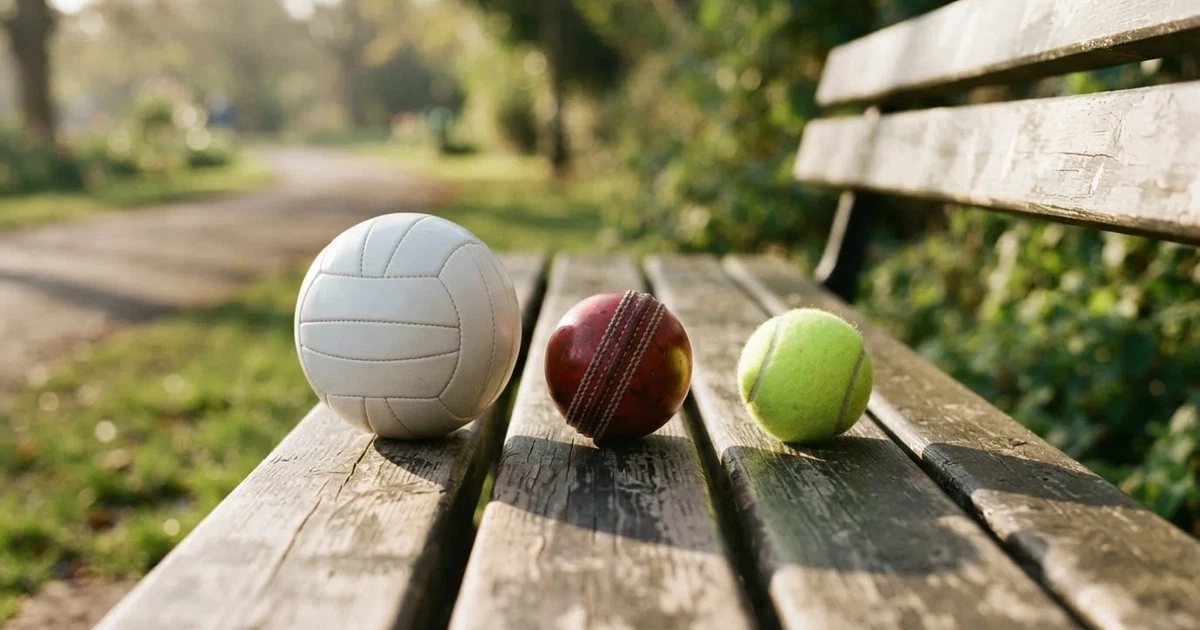 Three balls of different kinds side by side on a wooden bench